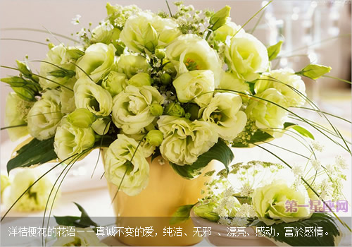 专属于巨蟹座的守护花